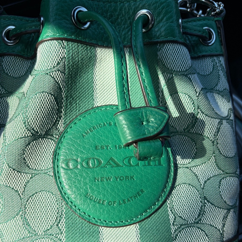Coach mini bucket bag